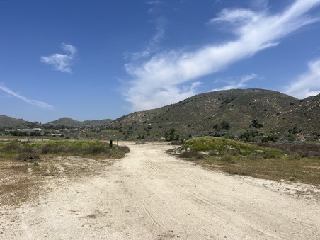Enlarge photo 86