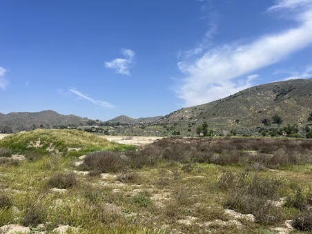 Enlarge photo 63