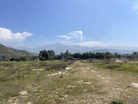 Enlarge photo 81