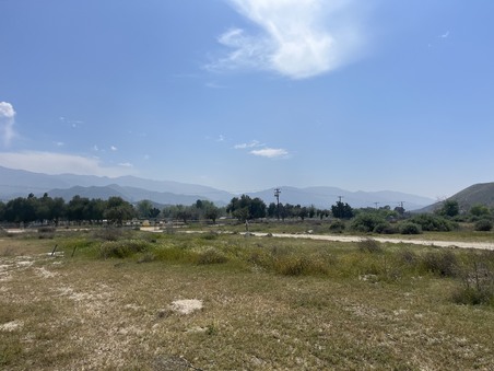 Enlarge photo 88