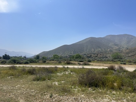 Enlarge photo 82