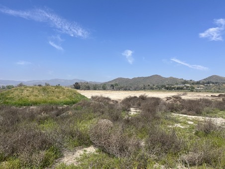 Enlarge photo 43