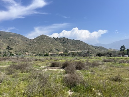 Enlarge photo 34