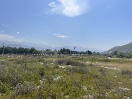 Enlarge photo 89