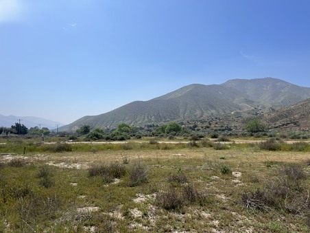 Enlarge photo 87