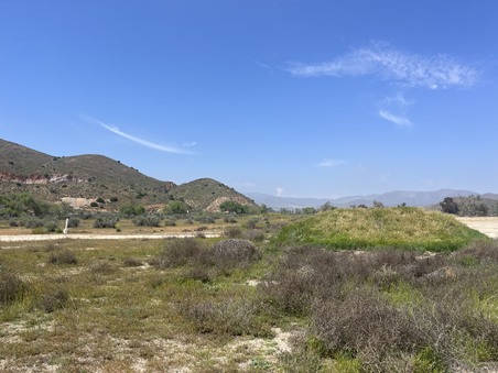 Enlarge photo 69