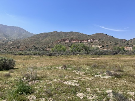 Enlarge photo 24