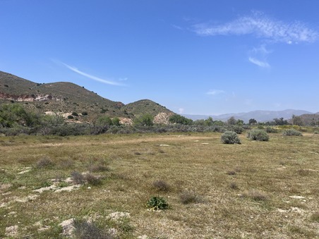 Enlarge photo 44