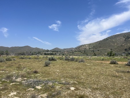 Enlarge photo 54