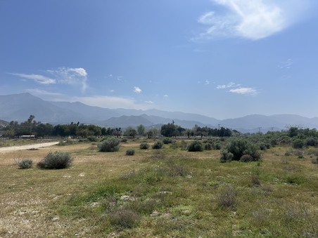 Enlarge photo 90