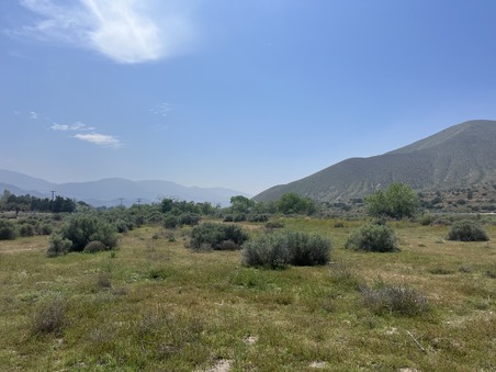 Enlarge photo 91