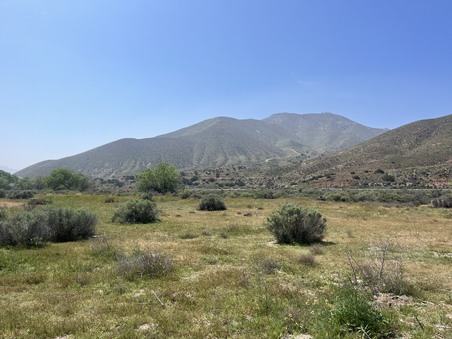 Enlarge photo 60