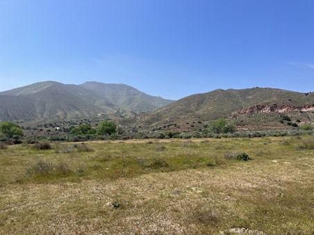 Enlarge photo 48