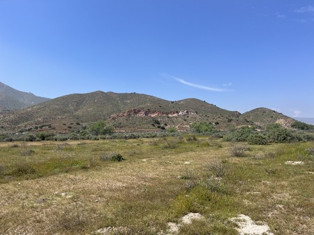Enlarge photo 49