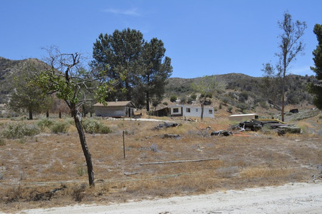 Enlarge photo 112