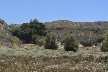 Enlarge photo 110