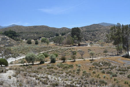 Enlarge photo 109