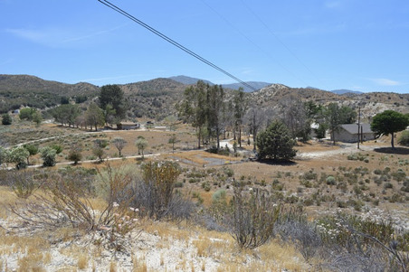 Enlarge photo 108