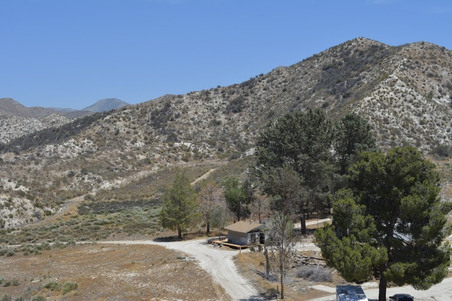 Enlarge photo 105