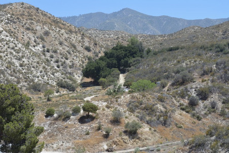 Enlarge photo 104