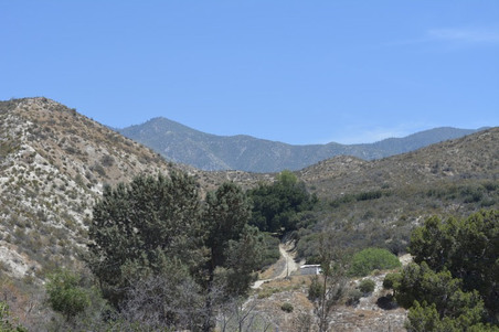 Enlarge photo 95