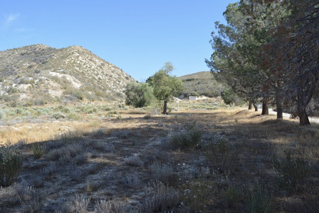Enlarge photo 74