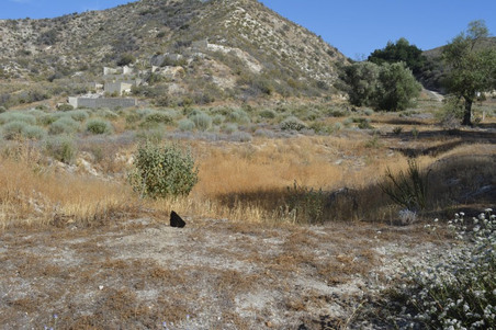Enlarge photo 72