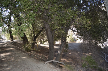 Enlarge photo 67