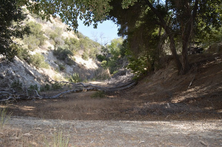 Enlarge photo 64