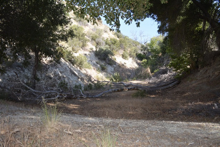 Enlarge photo 63