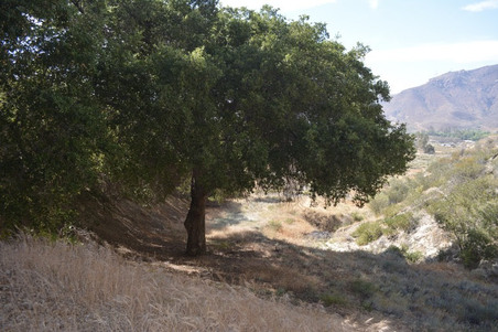 Enlarge photo 62