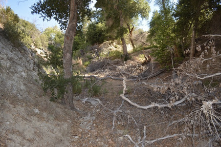Enlarge photo 61