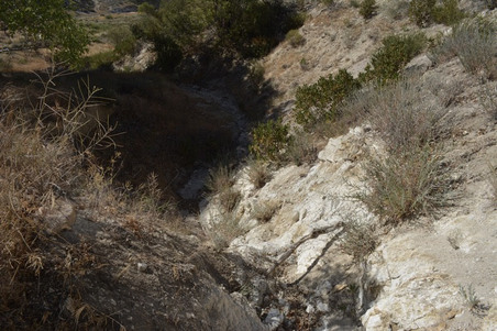 Enlarge photo 59