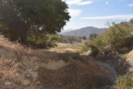 Enlarge photo 57