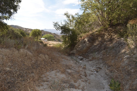 Enlarge photo 56