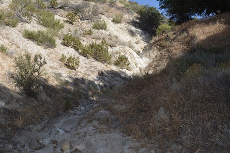Enlarge photo 54