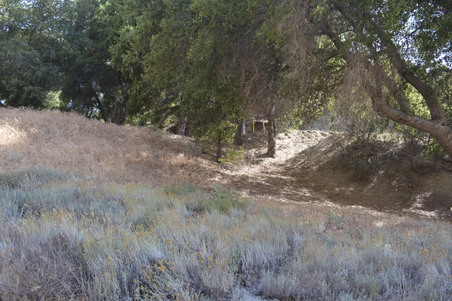 Enlarge photo 53