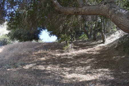 Enlarge photo 50