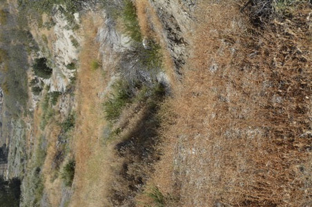 Enlarge photo 49