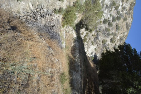 Enlarge photo 48