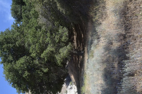 Enlarge photo 47