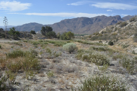 Enlarge photo 46