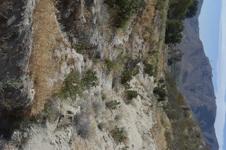 Enlarge photo 45