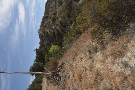 Enlarge photo 43