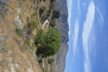 Enlarge photo 42