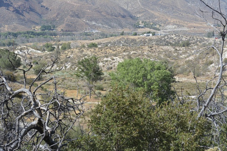 Enlarge photo 41