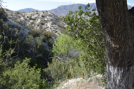 Enlarge photo 40