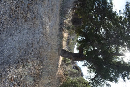 Enlarge photo 38