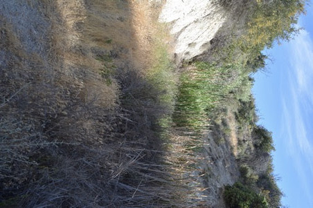 Enlarge photo 37