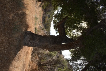 Enlarge photo 34